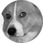 Сем