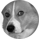 Сем
