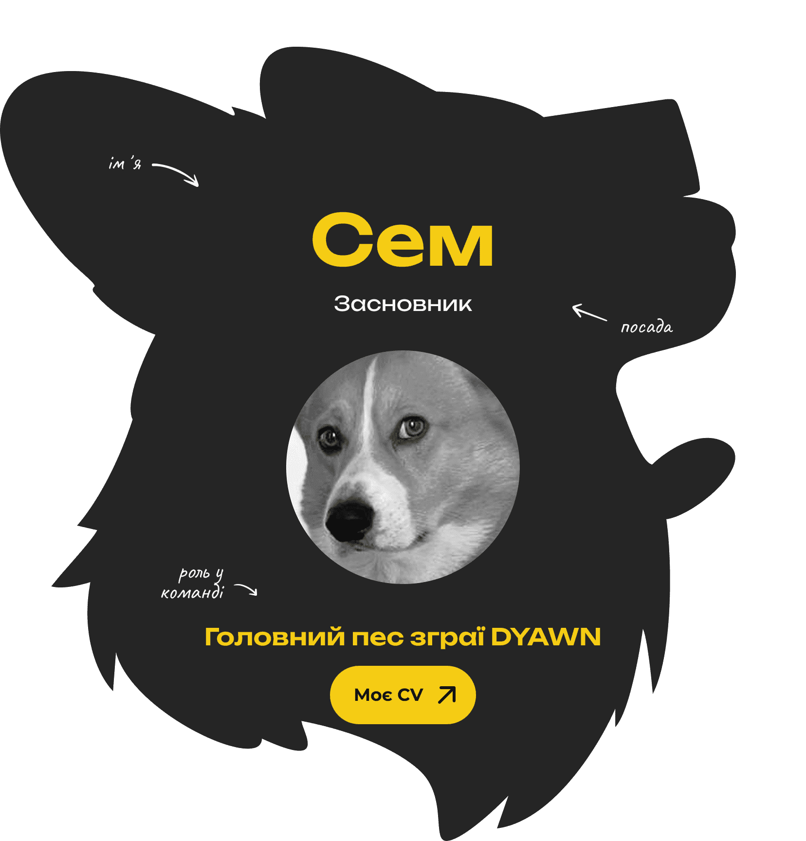 імʼя:Сем. Посада: Засновник